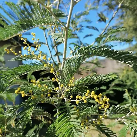 D'hotes Le Verger Couette-café