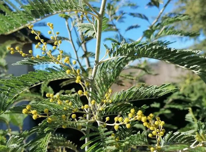 D'hotes Le Verger Nocleg ze śniadaniem